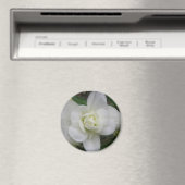 Mooie witte anjer Magnet (Insitu (Vaatwasser))