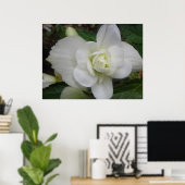 Mooie Witte Anjer Print (Thuiskantoor)