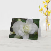 Mooie witte anjer Wenskaart Kaart (Gele Bloem)