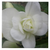 Mooie witte annatiestel tegeltje (Voorkant)