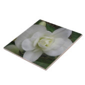 Mooie witte annatiestel tegeltje (Zijkant)