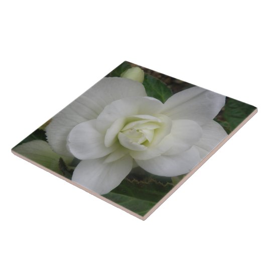 Mooie witte annatiestel tegeltje (Zijkant)