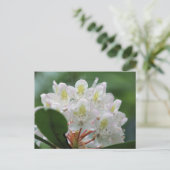 Mooie witte azalea bloem fotografie briefkaart (Staand voorkant)