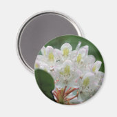 Mooie Witte Azalea Bloem Fotografie Magneet (Voorkant / Achterkant)