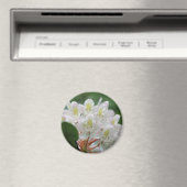 Mooie Witte Azalea Bloem Fotografie Magneet (Insitu (Vaatwasser))