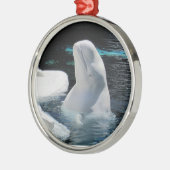 Mooie witte Beluga walvis Metalen Ornament (Links)