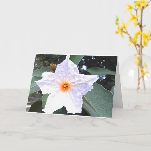 Mooie witte bloem blanco Wenskaart Kaart (Gele Bloem)