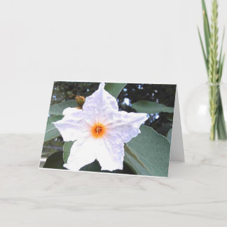 Mooie witte bloem blanco Wenskaart Kaart