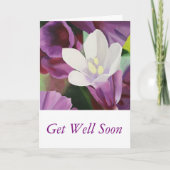 Mooie Witte Bloem - word goed spoedig Kaart (Voorkant)