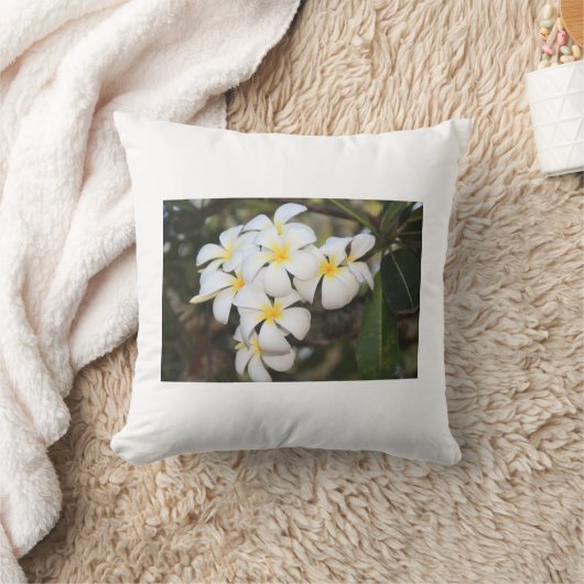 Mooie witte bloemen, Plumeria, kussen (Deken)