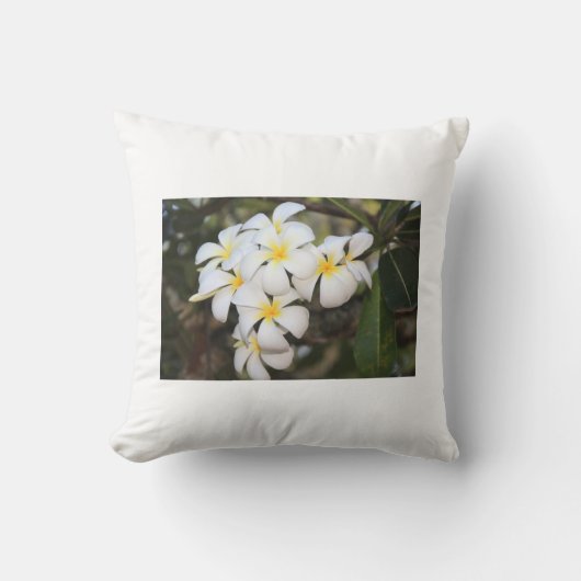 Mooie witte bloemen, Plumeria, kussen (Voorkant)