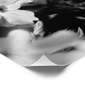 Mooie witte bloemen zwart-wit foto afdruk (Hoek)