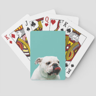 Mooie witte Bulldog Pokerkaarten