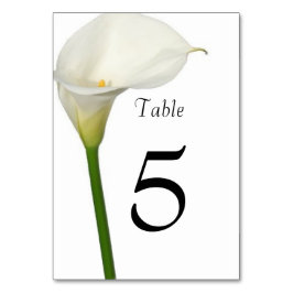 Mooie Witte Calla Lelie Bruiloft Kaart