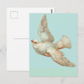 mooie witte duif briefkaart (Voorkant / Achterkant)
