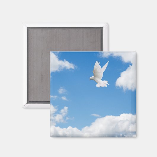 Mooie witte duif hoog magneet (Voorkant / Achterkant)