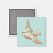 mooie witte duif magneet (Voorkant / Achterkant)