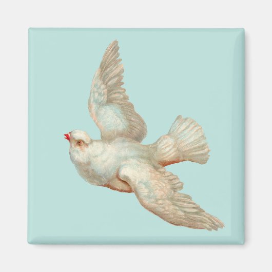 mooie witte duif magneet (Voorkant)