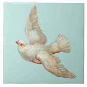mooie witte duif tegeltje (Voorkant)