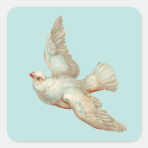 mooie witte duif vierkante sticker