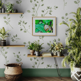 Mooie Witte en Bruine Vlinder Foto Afdruk