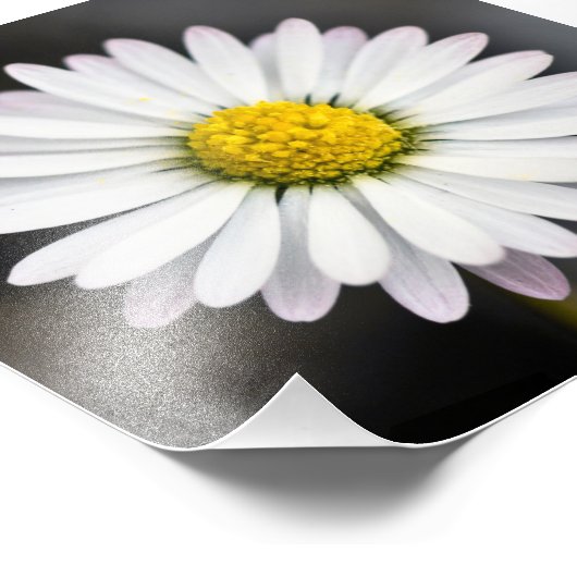 Mooie witte en gele maaltijd foto afdruk (Hoek)