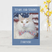 Mooie witte en oranje katten patriottische kaart (Gele Bloem)