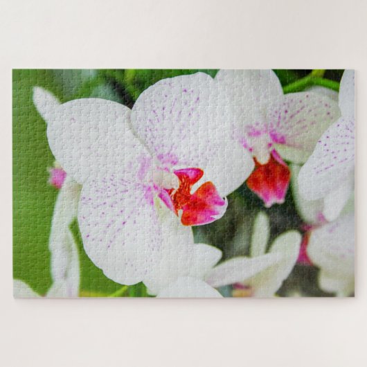 Mooie witte en rode bloemen legpuzzel (Horizontaal)