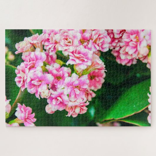 Mooie witte en roze bloemen legpuzzel (Horizontaal)