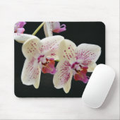 Mooie witte en roze orchidee met zwarte achtergron muismat (Met muis)