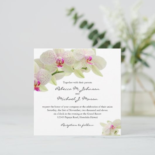 Mooie witte en warme roze orchideeën kaart (Staand voorkant)