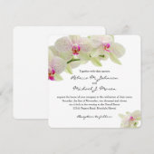 Mooie witte en warme roze orchideeën kaart (Voorkant / Achterkant)