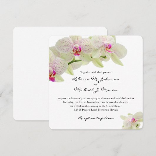 Mooie witte en warme roze orchideeën kaart (Voorkant / Achterkant)