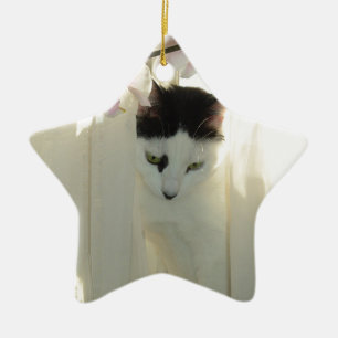 Mooie witte en zwarte kat keramisch ornament
