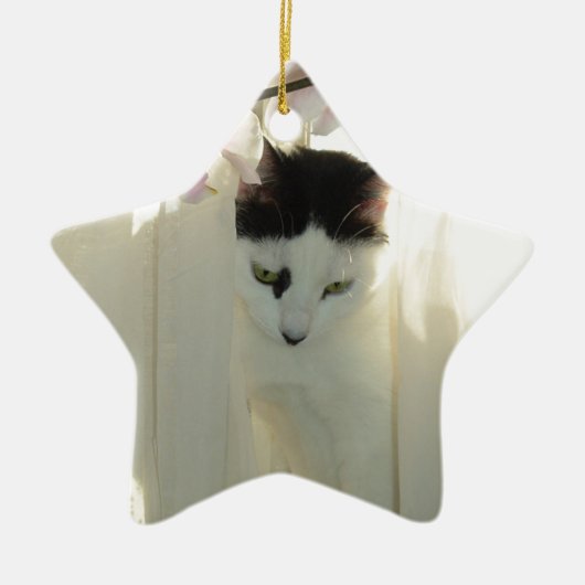 Mooie witte en zwarte kat keramisch ornament (Voorkant)