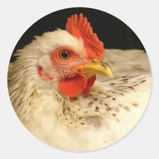 Mooie witte haan met zwarte spikkels ronde sticker (Voorkant)
