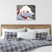 Mooie witte hond met rode sjaal canvasprint canvas afdruk (Insitu (Slaapkamer))