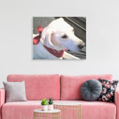Mooie witte hond met rode sjaal canvasprint canvas afdruk (Insitu (Woonkamer))