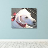 Mooie witte hond met rode sjaal canvasprint canvas afdruk (Insitu (Houten vloer))