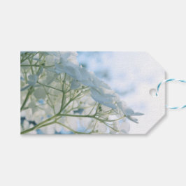 Mooie Witte Hortensia Bloeit Highkey Cadeaulabel