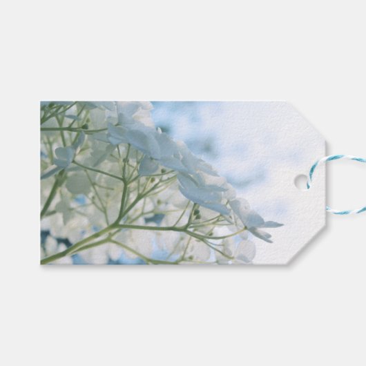 Mooie Witte Hortensia Bloeit Highkey Cadeaulabel (Voorkant (Horizontaal))