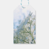Mooie Witte Hortensia Bloeit Highkey Cadeaulabel (Achterkant)