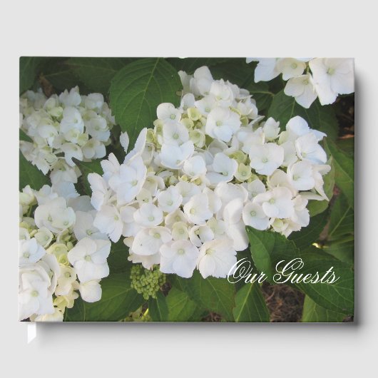 Mooie Witte Hortensia's Gastenboek (Voorkant)
