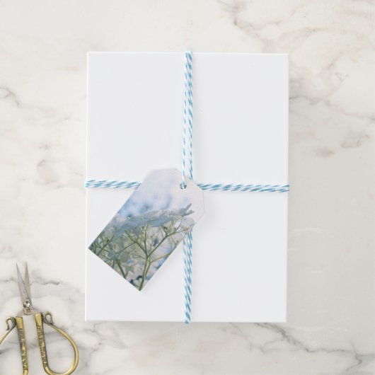 Mooie witte Hydrangea Blooms Highkey Cadeaulabel (Met Touw)