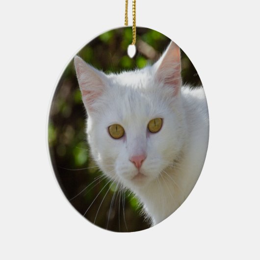 Mooie witte kat keramisch ornament (Rechts)