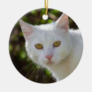 Mooie witte kat keramisch ornament
