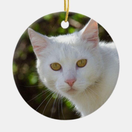 Mooie witte kat keramisch ornament (Voorkant)