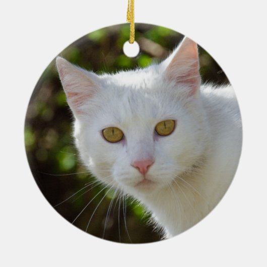 Mooie witte kat keramisch ornament (Achterkant)