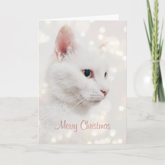 Mooie witte kat met kerstverlichting kaart (Voorkant)