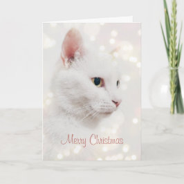 Mooie witte kat met kerstverlichting kaart